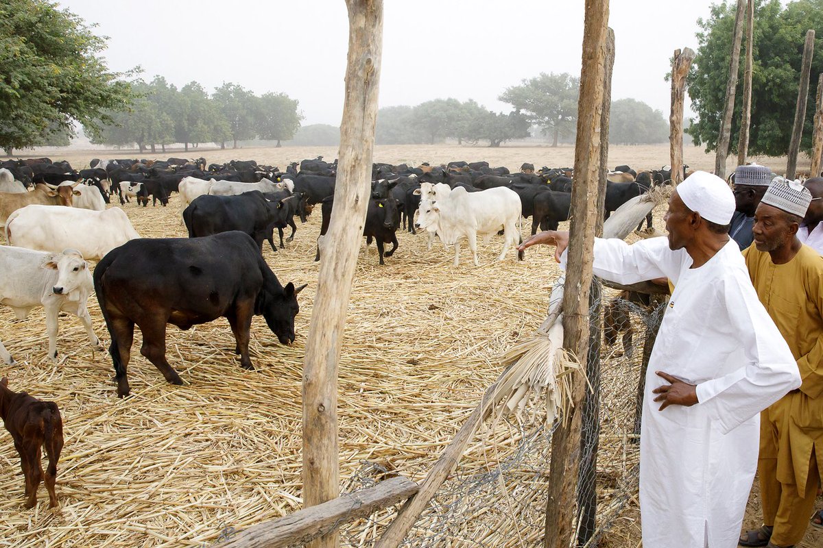 Photo of Buhari Visits Own Farm In Katsina, Seeks A Nigeria That Grows What It Eats